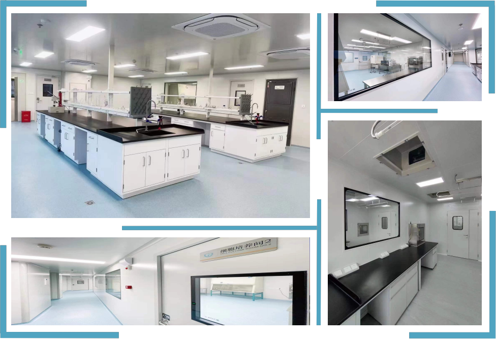 南京医药净化车间工程